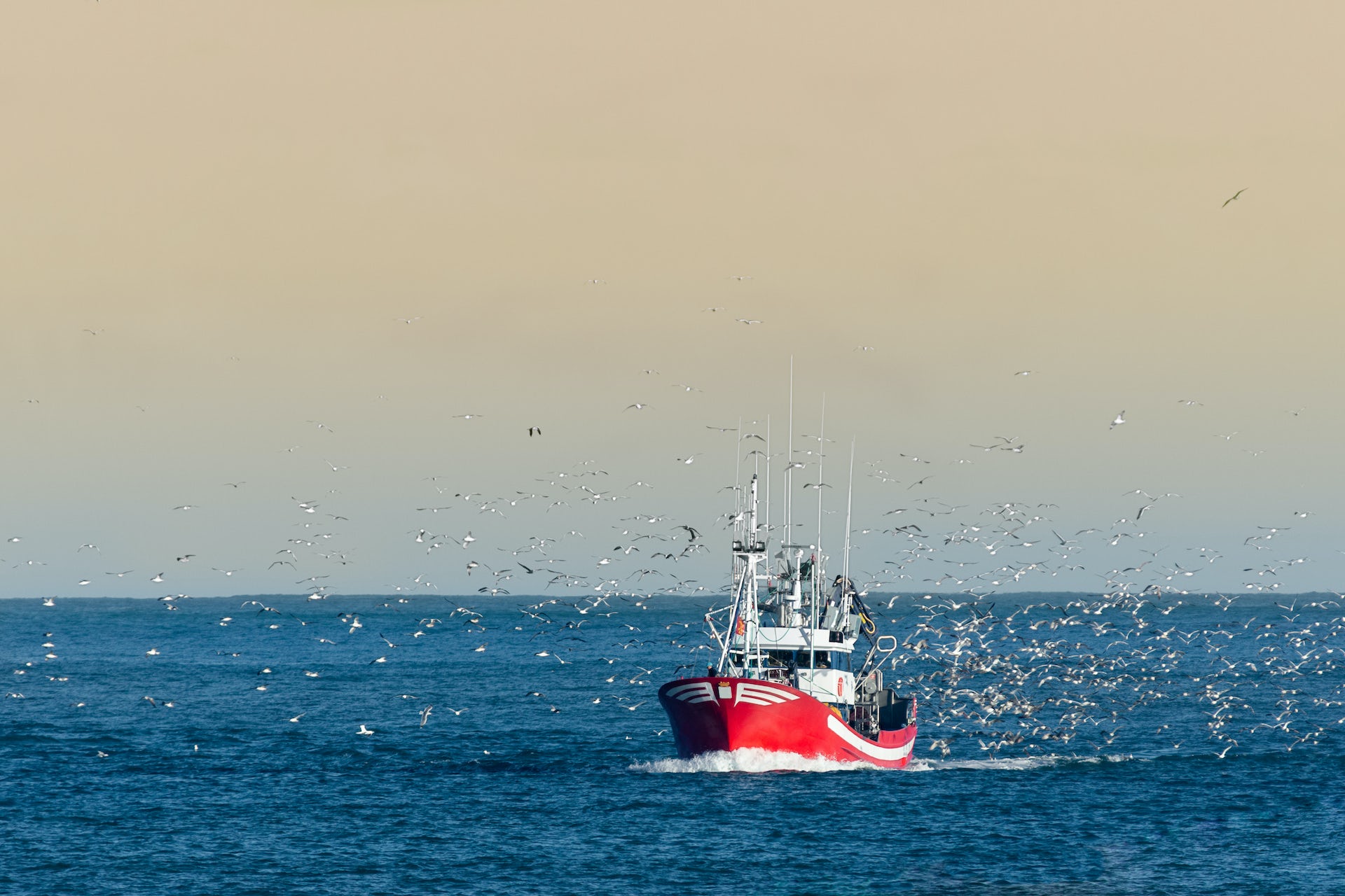 O barca de pescuit care vine in port